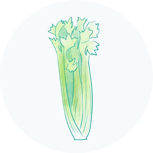 Celery Seed Extract