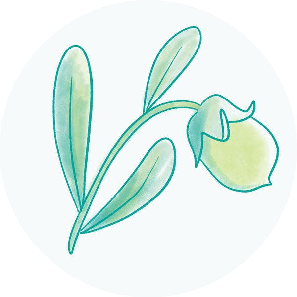 Jojoba Oil
