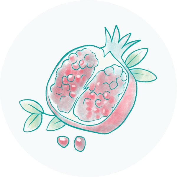 Pomegranate Extract