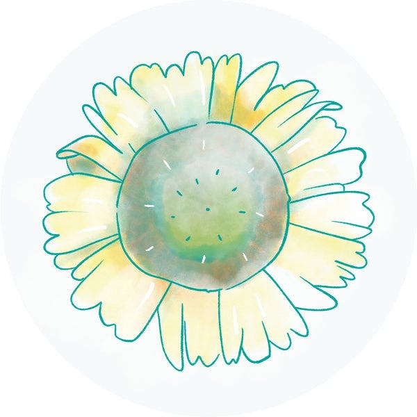 Sunflower Seed Oil